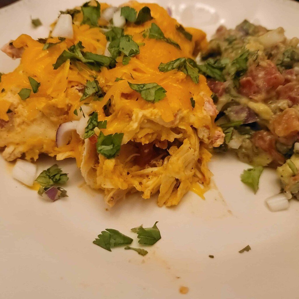 Low Carb Chicken Enchiladas