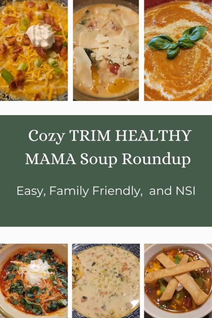 15 Cozy Trim Healthy Mama Soup Recipes